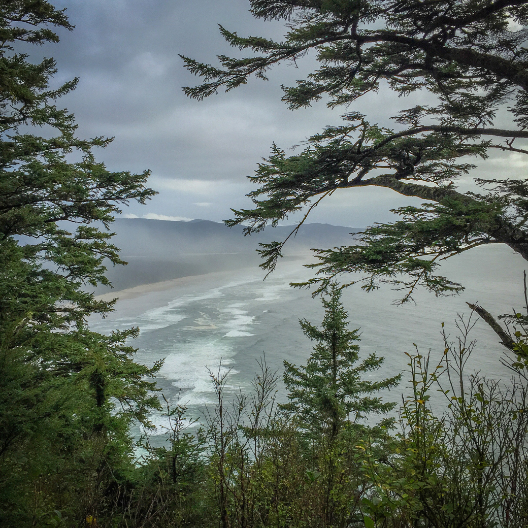 View of a rocky coastline with waves crashing, surrounded by dense green trees under a cloudy sky.