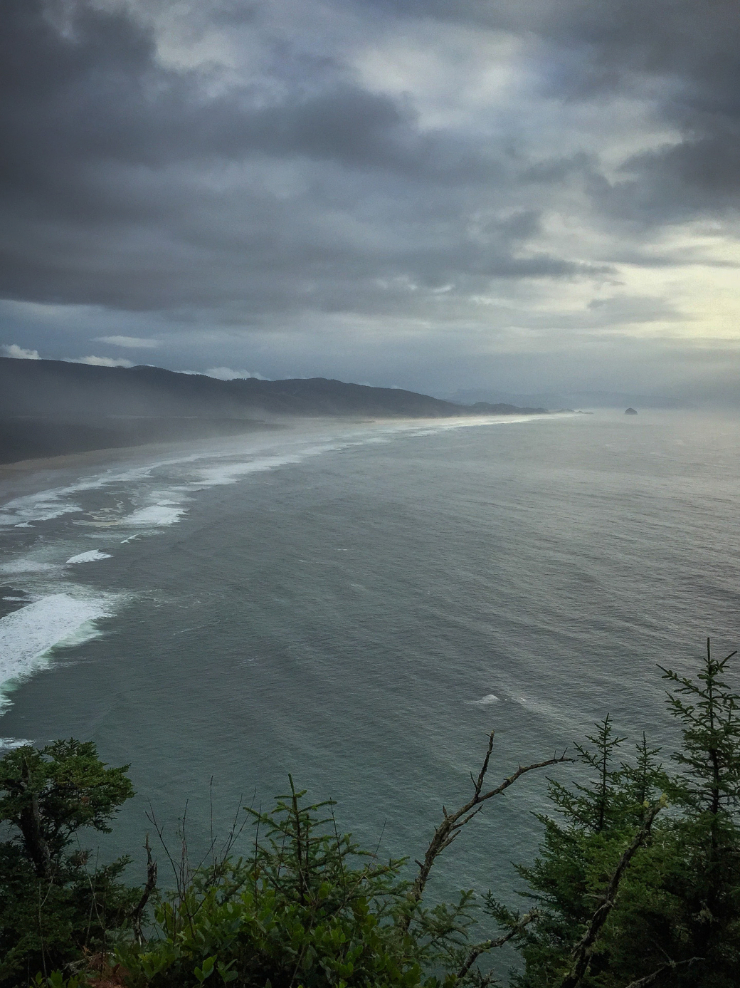 Overcast sky above a vast, wavy ocean, with a distant shoreline and lush greenery in the foreground.