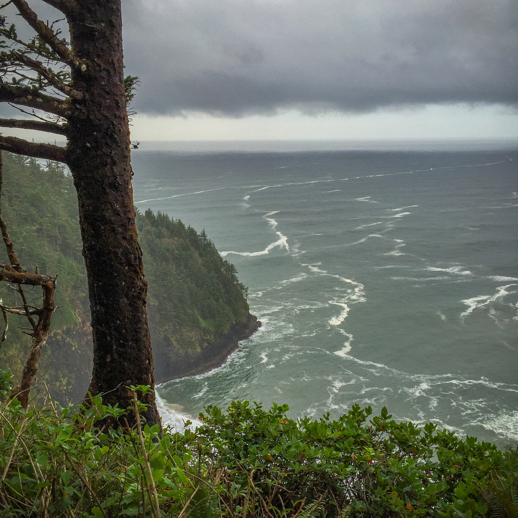 Overcast coastal scene with rugged cliffs, dark clouds, and choppy ocean waters, framed by trees.