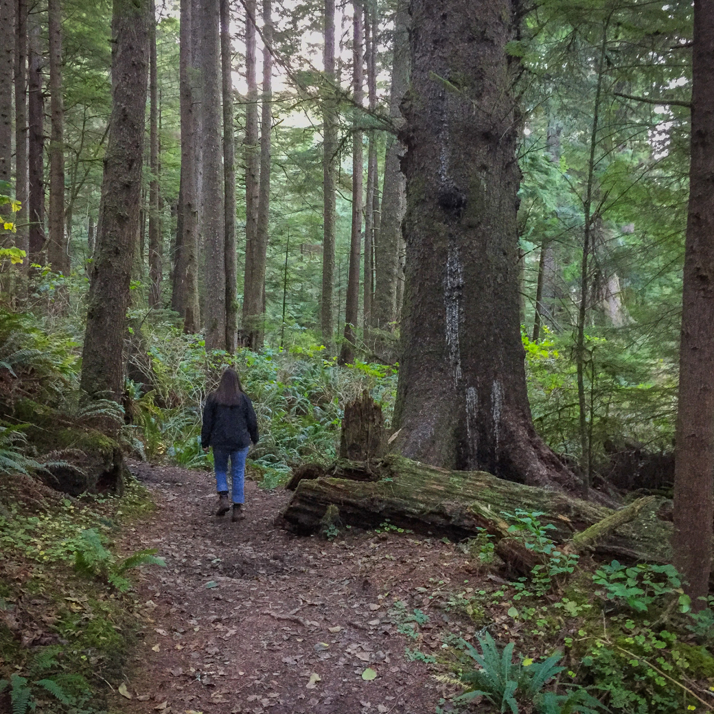 Person walking on a forest trail surrounded by tall trees and green foliage.