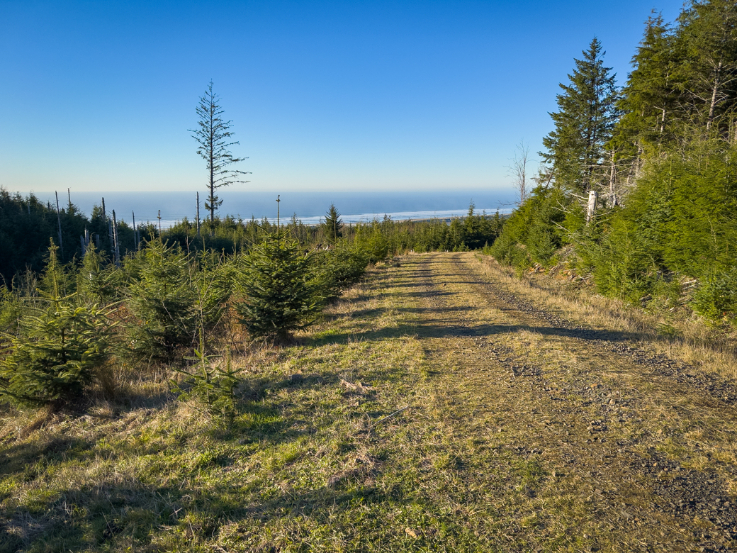 A dirt road leading to the ocean.