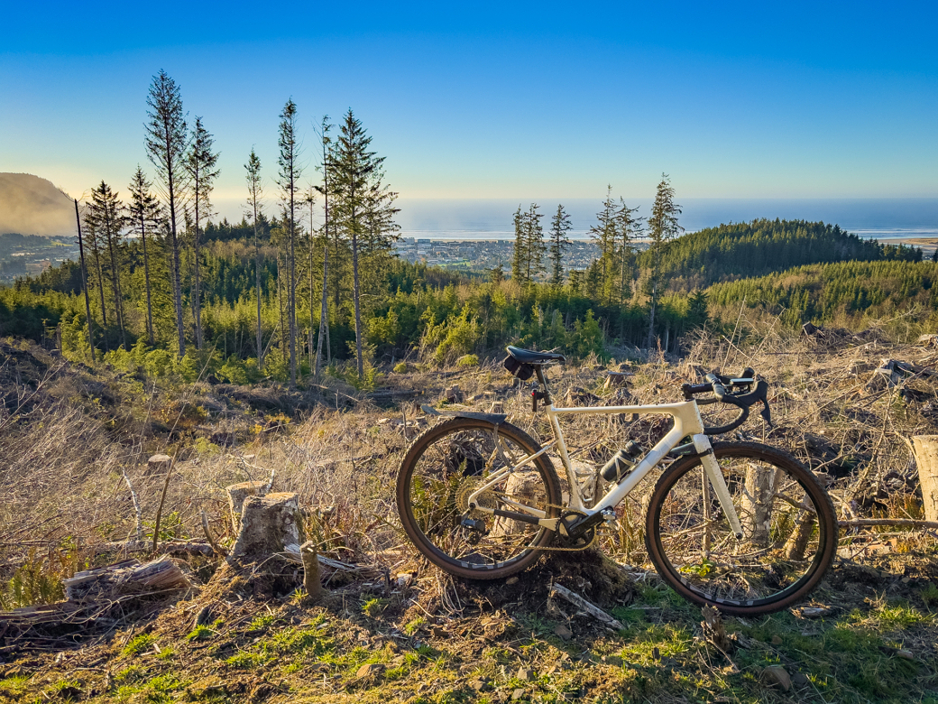 A bike leaning against a tree with a view of the ocean.