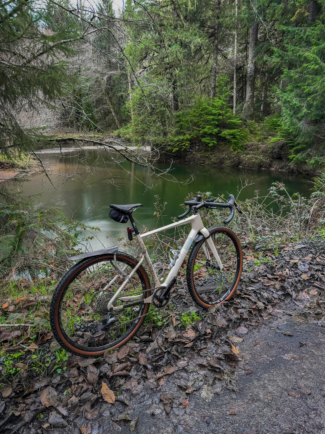 A bike leaning against a tree near a river.