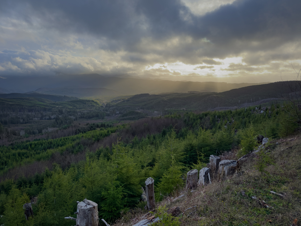 The sun is shining over a valley with trees.