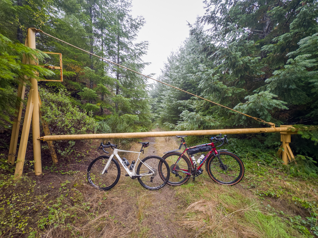 Photograph of two gravel bicycles on a gravel road lined by young trees, the bikes are leaning against a closed logging gate