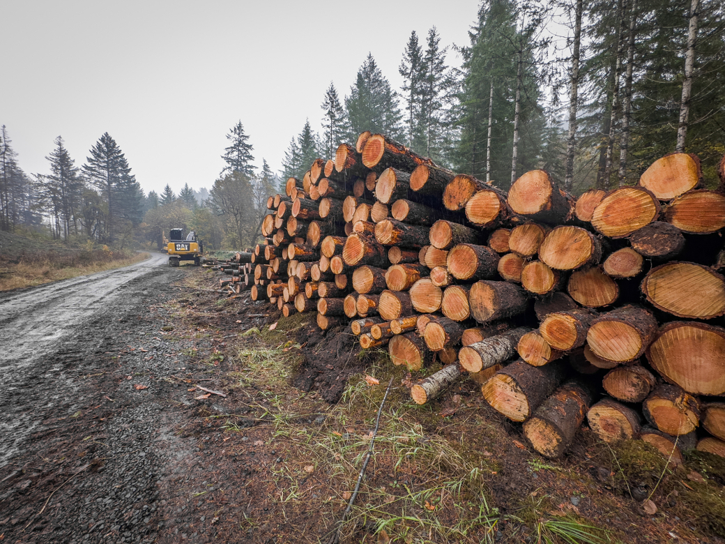 Photograph of a pile of maybe 200 logs neatly piled along the side of a muddy gravel road, in the background is a log loader and the surrounding area is forested