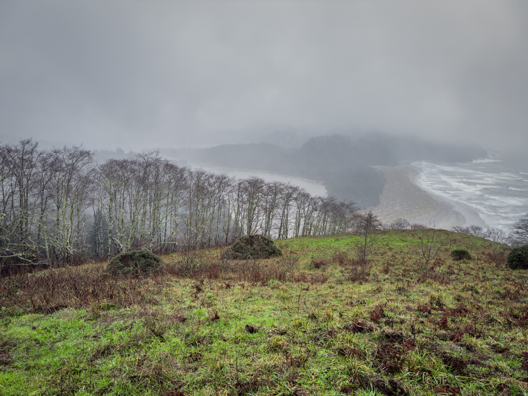 A misty landscape showing an overcast sky above a field with patches of green and brown foliage, leading to a wooded area, with a glimpse of a winding river or coastline in the distance.